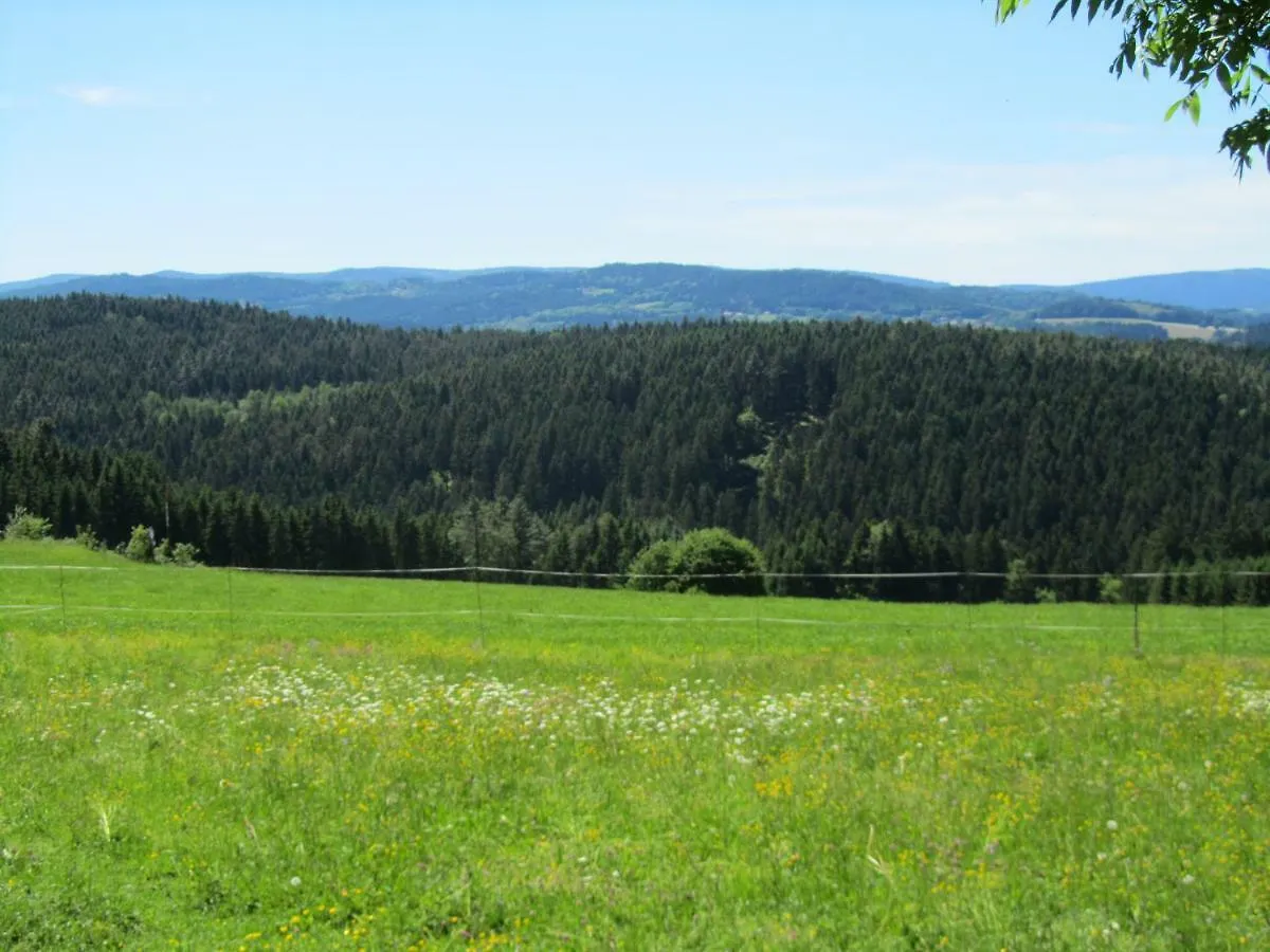 Ferienhaus Zopfhaeusl Böbrach Γερμανία